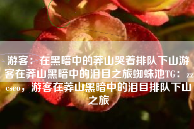 游客：在黑暗中的莽山哭着排队下山游客在莽山黑暗中的泪目之旅蜘蛛池TG：zzcseo，游客在莽山黑暗中的泪目排队下山之旅