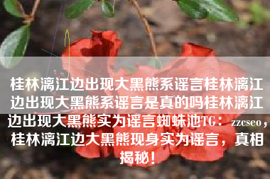 桂林漓江边出现大黑熊系谣言桂林漓江边出现大黑熊系谣言是真的吗桂林漓江边出现大黑熊实为谣言蜘蛛池TG：zzcseo，桂林漓江边大黑熊现身实为谣言，真相揭秘！