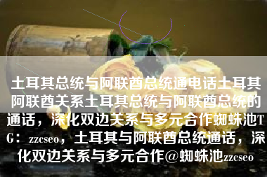 土耳其总统与阿联酋总统通电话土耳其阿联酋关系土耳其总统与阿联酋总统的通话，深化双边关系与多元合作蜘蛛池TG：zzcseo，土耳其与阿联酋总统通话，深化双边关系与多元合作@蜘蛛池zzcseo