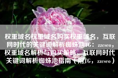 权重域名权重域名购买权重域名,互联网时代的关键词解析蜘蛛池TG:zzcseo,权重域名解析与购买策略,互联网时代关键词解析蜘蛛池指南(附TG,zzcseo) 权重域名权重域名购买权重域名,互联网时代的关键词解析蜘蛛池TG:zzcseo,权重域名解析与购买策略,互联网时代关键词解析蜘蛛池指南(附TG,zzcseo)