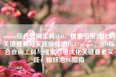 seoseo综合查询工具SEO，搜索引擎优化的关键要素与实践蜘蛛池TG：zzcseo，SEO综合查询工具与搜索引擎优化关键要素实践，蜘蛛池TG指南