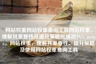 网站权重网站权重查询工具网站权重，理解其重要性及提升策略蜘蛛池TG：zzcseo，网站权重，理解其重要性、提升策略及使用网站权重查询工具