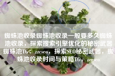 蜘蛛池收录蜘蛛池收录一般要多久蜘蛛池收录，探索搜索引擎优化的秘密武器蜘蛛池TG：zzcseo，探索SEO秘密武器，蜘蛛池收录时间与策略TG，zzcseo