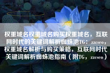权重域名权重域名购买权重域名,互联网时代的关键词解析蜘蛛池TG:zzcseo,权重域名解析与购买策略,互联网时代关键词解析蜘蛛池指南(附TG,zzcseo) 权重域名权重域名购买权重域名,互联网时代的关键词解析蜘蛛池TG:zzcseo,权重域名解析与购买策略,互联网时代关键词解析蜘蛛池指南(附TG,zzcseo)