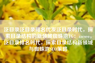 泛目录泛目录排名代发泛目录时代，探索目录结构的新领域蜘蛛池TG：zzcseo，泛目录排名时代，探索目录结构新领域与蜘蛛池SEO策略