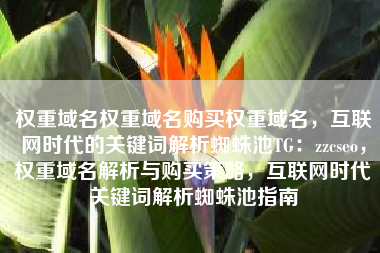 权重域名权重域名购买权重域名，互联网时代的关键词解析蜘蛛池TG：zzcseo，权重域名解析与购买策略，互联网时代关键词解析蜘蛛池指南