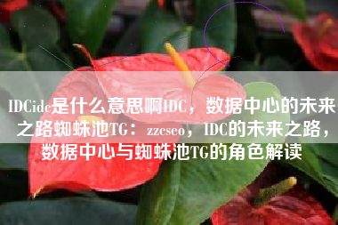 IDCidc是什么意思啊IDC，数据中心的未来之路蜘蛛池TG：zzcseo，IDC的未来之路，数据中心与蜘蛛池TG的角色解读