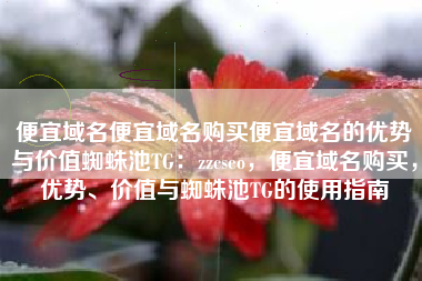 便宜域名便宜域名购买便宜域名的优势与价值蜘蛛池TG：zzcseo，便宜域名购买，优势、价值与蜘蛛池TG的使用指南