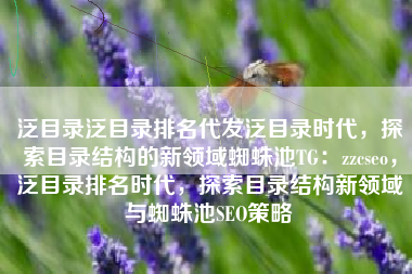泛目录泛目录排名代发泛目录时代，探索目录结构的新领域蜘蛛池TG：zzcseo，泛目录排名时代，探索目录结构新领域与蜘蛛池SEO策略