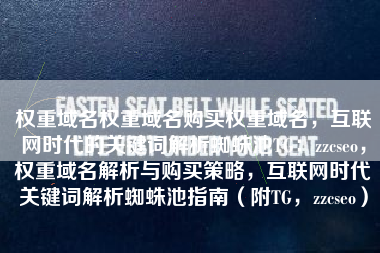 权重域名权重域名购买权重域名，互联网时代的关键词解析蜘蛛池TG：zzcseo，权重域名解析与购买策略，互联网时代关键词解析蜘蛛池指南（附TG，zzcseo）