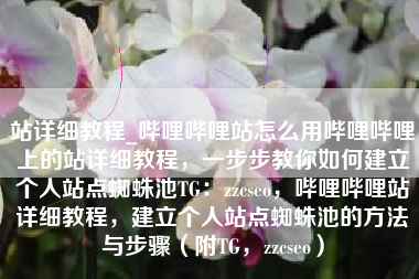 站详细教程_哔哩哔哩站怎么用哔哩哔哩上的站详细教程，一步步教你如何建立个人站点蜘蛛池TG：zzcseo，哔哩哔哩站详细教程，建立个人站点蜘蛛池的方法与步骤（附TG，zzcseo）