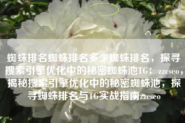蜘蛛排名蜘蛛排名多少蜘蛛排名，探寻搜索引擎优化中的秘密蜘蛛池TG：zzcseo，揭秘搜索引擎优化中的秘密蜘蛛池，探寻蜘蛛排名与TG实战指南zzcseo