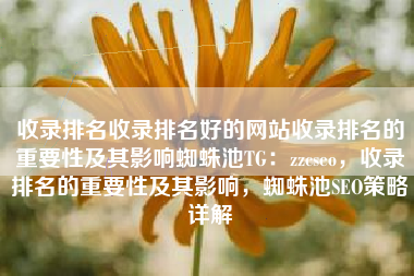 收录排名收录排名好的网站收录排名的重要性及其影响蜘蛛池TG：zzcseo，收录排名的重要性及其影响，蜘蛛池SEO策略详解