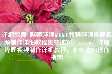 详细教程_哔哩哔哩bilibili教程哔哩哔哩视频制作详细教程蜘蛛池TG：zzcseo，哔哩哔哩视频制作详细教程，蜘蛛池TG操作指南