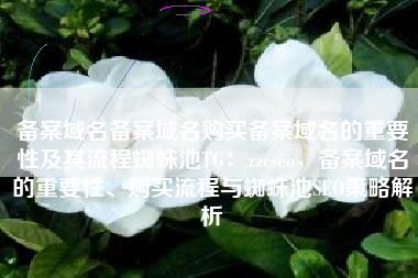 备案域名备案域名购买备案域名的重要性及其流程蜘蛛池TG：zzcseo，备案域名的重要性、购买流程与蜘蛛池SEO策略解析