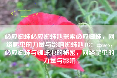 必应蜘蛛必应蜘蛛池探索必应蜘蛛,网络爬虫的力量与影响蜘蛛池TG:zzcseo,必应蜘蛛与蜘蛛池的秘密,网络爬虫的力量与影响 必应蜘蛛必应蜘蛛池探索必应蜘蛛,网络爬虫的力量与影响蜘蛛池TG:zzcseo,必应蜘蛛与蜘蛛池的秘密,网络爬虫的力量与影响