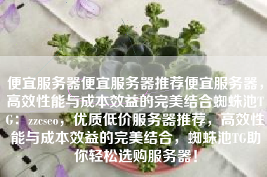 便宜服务器便宜服务器推荐便宜服务器，高效性能与成本效益的完美结合蜘蛛池TG：zzcseo，优质低价服务器推荐，高效性能与成本效益的完美结合，蜘蛛池TG助你轻松选购服务器！