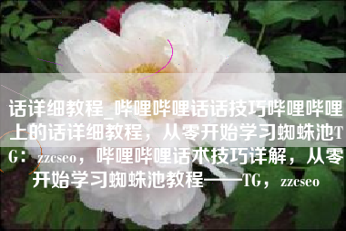 话详细教程_哔哩哔哩话话技巧哔哩哔哩上的话详细教程，从零开始学习蜘蛛池TG：zzcseo，哔哩哔哩话术技巧详解，从零开始学习蜘蛛池教程——TG，zzcseo