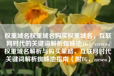 权重域名权重域名购买权重域名,互联网时代的关键词解析蜘蛛池TG:zzcseo,权重域名解析与购买策略,互联网时代关键词解析蜘蛛池指南(附TG,zzcseo) 权重域名权重域名购买权重域名,互联网时代的关键词解析蜘蛛池TG:zzcseo,权重域名解析与购买策略,互联网时代关键词解析蜘蛛池指南(附TG,zzcseo)