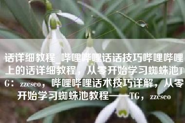 话详细教程_哔哩哔哩话话技巧哔哩哔哩上的话详细教程，从零开始学习蜘蛛池TG：zzcseo，哔哩哔哩话术技巧详解，从零开始学习蜘蛛池教程——TG，zzcseo