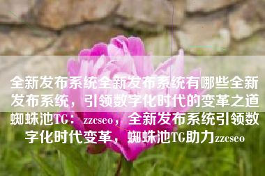 全新发布系统全新发布系统有哪些全新发布系统，引领数字化时代的变革之道蜘蛛池TG：zzcseo，全新发布系统引领数字化时代变革，蜘蛛池TG助力zzcseo