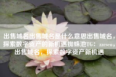 出售域名出售域名是什么意思出售域名，探索数字资产的新机遇蜘蛛池TG：zzcseo，出售域名，探索数字资产新机遇