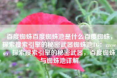 百度蜘蛛百度蜘蛛池是什么百度蜘蛛，探索搜索引擎的秘密武器蜘蛛池TG：zzcseo，探索搜索引擎的秘密武器，百度蜘蛛与蜘蛛池详解