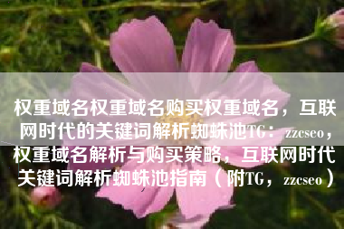 权重域名权重域名购买权重域名,互联网时代的关键词解析蜘蛛池TG:zzcseo,权重域名解析与购买策略,互联网时代关键词解析蜘蛛池指南(附TG,zzcseo) 权重域名权重域名购买权重域名,互联网时代的关键词解析蜘蛛池TG:zzcseo,权重域名解析与购买策略,互联网时代关键词解析蜘蛛池指南(附TG,zzcseo)