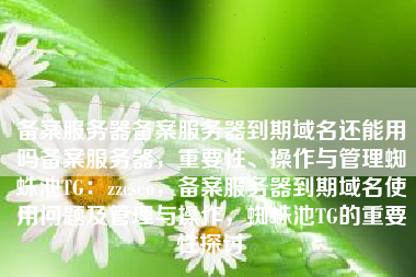 备案服务器备案服务器到期域名还能用吗备案服务器，重要性、操作与管理蜘蛛池TG：zzcseo，备案服务器到期域名使用问题及管理与操作，蜘蛛池TG的重要性探讨