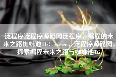 泛程序泛程序源码网泛程序，编程的未来之路蜘蛛池TG：zzcseo，泛程序源码网，探索编程未来之路与蜘蛛池TG