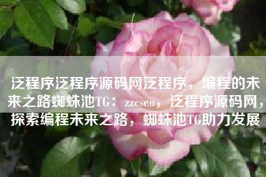 泛程序泛程序源码网泛程序，编程的未来之路蜘蛛池TG：zzcseo，泛程序源码网，探索编程未来之路，蜘蛛池TG助力发展
