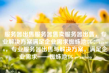 服务器出售服务器售卖服务器出售，专业解决方案满足企业需求蜘蛛池TG：zzcseo，专业服务器出售与解决方案，满足企业需求——蜘蛛池TG，zzcseo