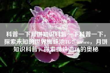 科普一下月饼知识科普一下科普一下，探索未知的世界蜘蛛池TG：zzcseo，月饼知识科普，探索蜘蛛池TG的奥秘