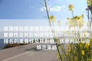 收录排名收录排名好的网站收录排名的重要性及其影响蜘蛛池TG：zzcseo，收录排名的重要性及其影响，优质网站与蜘蛛池策略