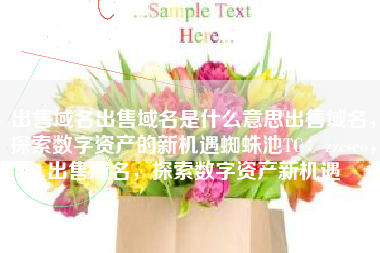 出售域名出售域名是什么意思出售域名，探索数字资产的新机遇蜘蛛池TG：zzcseo，出售域名，探索数字资产新机遇