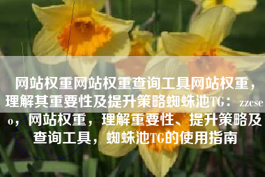 网站权重网站权重查询工具网站权重，理解其重要性及提升策略蜘蛛池TG：zzcseo，网站权重，理解重要性、提升策略及查询工具，蜘蛛池TG的使用指南