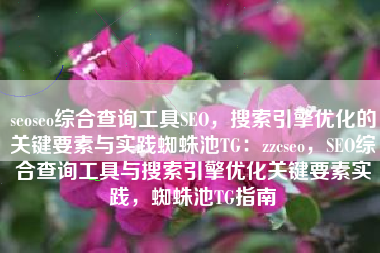 seoseo综合查询工具SEO，搜索引擎优化的关键要素与实践蜘蛛池TG：zzcseo，SEO综合查询工具与搜索引擎优化关键要素实践，蜘蛛池TG指南