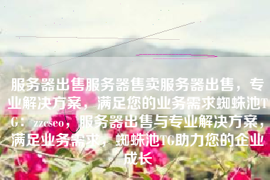 服务器出售服务器售卖服务器出售，专业解决方案，满足您的业务需求蜘蛛池TG：zzcseo，服务器出售与专业解决方案，满足业务需求，蜘蛛池TG助力您的企业成长
