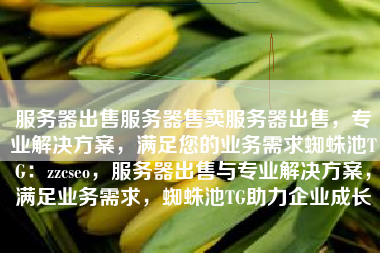 服务器出售服务器售卖服务器出售，专业解决方案，满足您的业务需求蜘蛛池TG：zzcseo，服务器出售与专业解决方案，满足业务需求，蜘蛛池TG助力企业成长
