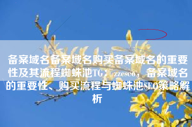 备案域名备案域名购买备案域名的重要性及其流程蜘蛛池TG：zzcseo，备案域名的重要性、购买流程与蜘蛛池SEO策略解析