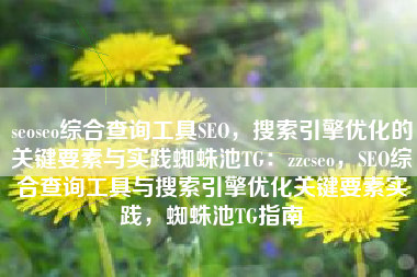 seoseo综合查询工具SEO，搜索引擎优化的关键要素与实践蜘蛛池TG：zzcseo，SEO综合查询工具与搜索引擎优化关键要素实践，蜘蛛池TG指南