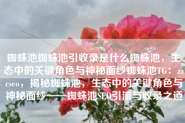 蜘蛛池蜘蛛池引收录是什么蜘蛛池，生态中的关键角色与神秘面纱蜘蛛池TG：zzcseo，揭秘蜘蛛池，生态中的关键角色与神秘面纱——蜘蛛池SEO引流与收录之道