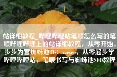 站详细教程_哔哩哔哩站笔顺怎么写的笔顺哔哩哔哩上的站详细教程,从零开始,步步为营蜘蛛池TG:zzcseo,从零起步学哔哩哔哩站,笔顺书写与蜘蛛池SEO教程 站详细教程_哔哩哔哩站笔顺怎么写的笔顺哔哩哔哩上的站详细教程,从零开始,步步为营蜘蛛池TG:zzcseo,从零起步学哔哩哔哩站,笔顺书写与蜘蛛池SEO教程