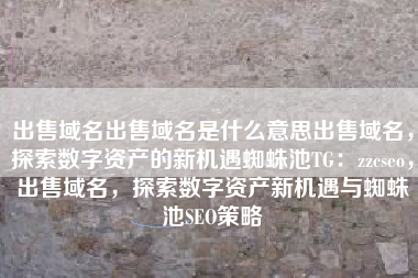 出售域名出售域名是什么意思出售域名，探索数字资产的新机遇蜘蛛池TG：zzcseo，出售域名，探索数字资产新机遇与蜘蛛池SEO策略