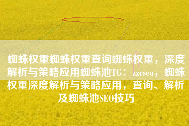 蜘蛛权重蜘蛛权重查询蜘蛛权重,深度解析与策略应用蜘蛛池TG:zzcseo,蜘蛛权重深度解析与策略应用,查询、解析及蜘蛛池SEO技巧 蜘蛛权重蜘蛛权重查询蜘蛛权重,深度解析与策略应用蜘蛛池TG:zzcseo,蜘蛛权重深度解析与策略应用,查询、解析及蜘蛛池SEO技巧