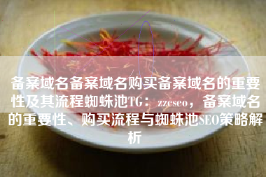 备案域名备案域名购买备案域名的重要性及其流程蜘蛛池TG：zzcseo，备案域名的重要性、购买流程与蜘蛛池SEO策略解析