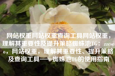 网站权重网站权重查询工具网站权重，理解其重要性及提升策略蜘蛛池TG：zzcseo，网站权重，理解其重要性、提升策略及查询工具——蜘蛛池TG的使用指南
