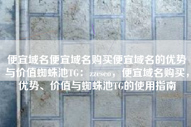 便宜域名便宜域名购买便宜域名的优势与价值蜘蛛池TG：zzcseo，便宜域名购买，优势、价值与蜘蛛池TG的使用指南