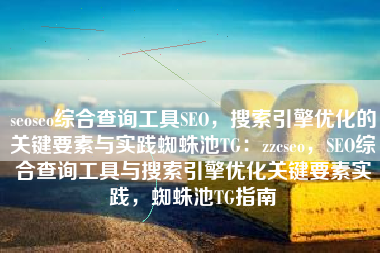 seoseo综合查询工具SEO，搜索引擎优化的关键要素与实践蜘蛛池TG：zzcseo，SEO综合查询工具与搜索引擎优化关键要素实践，蜘蛛池TG指南