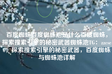 百度蜘蛛百度蜘蛛池是什么百度蜘蛛，探索搜索引擎的秘密武器蜘蛛池TG：zzcseo，探索搜索引擎的秘密武器，百度蜘蛛与蜘蛛池详解